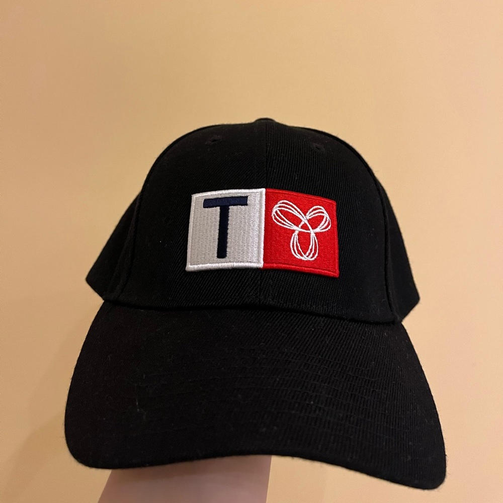 Aritzia TNA Hat